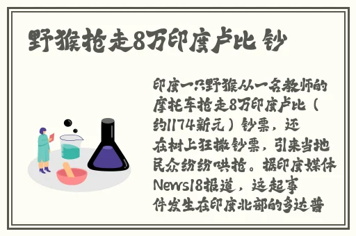幼儿HIPHOP仙踪林推荐词